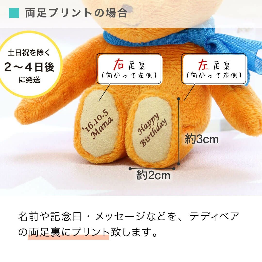 ポップTB(4S) | テディベアギフトのプティルウネットショップ本店