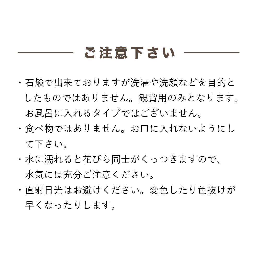 長寿ベアフラワー