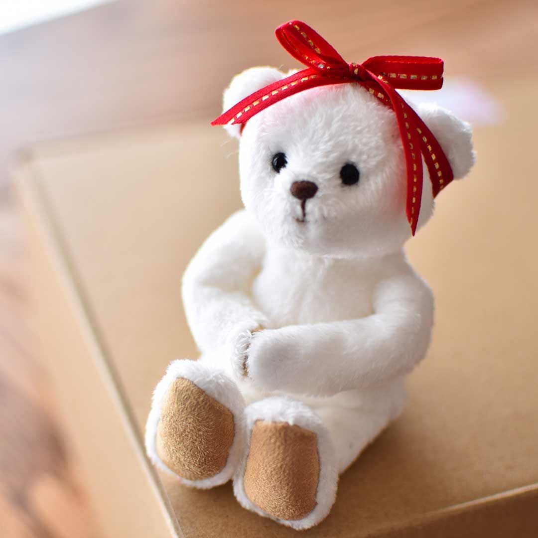 新品タグ付! とっても可愛いテディベア♡ 新商品 #NEW 「#あそんでテディベア」が12月5日（金）お昼12時から先行