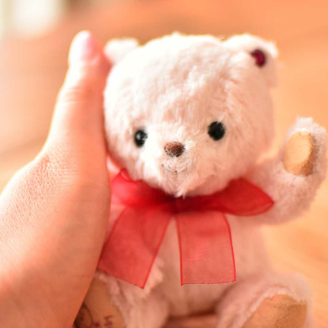 誕生日プレゼントや推し活に！誕生月と誕生石カラーのテディベア