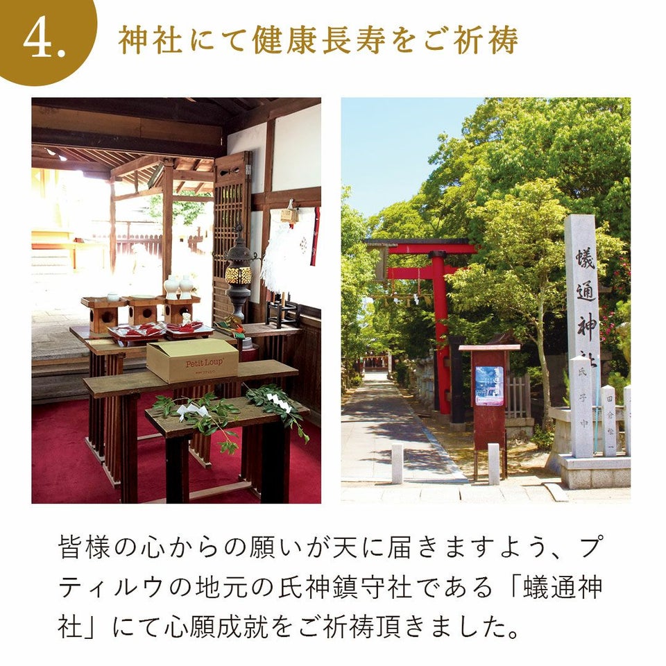 還暦に贈るテディべアプレミアム【名前/日付/メッセージ入れ】還暦祝いテディべア還暦かんれきプレゼント贈り物ギフト女性男性母父ちゃんちゃんこ退職祝いぬいぐるみ名入り名前入り記念品【送料無料】【smtb】