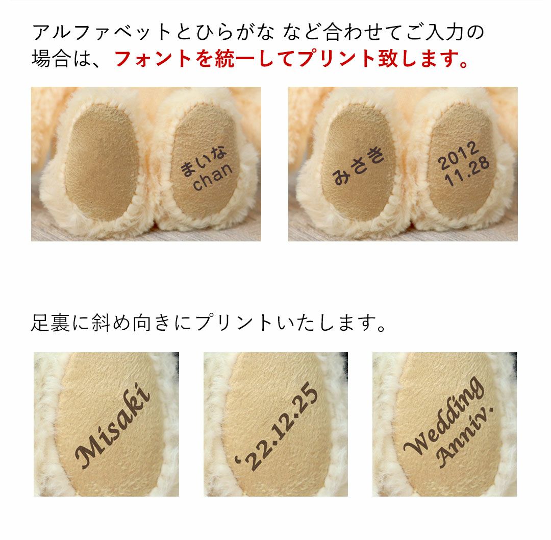 シロクマ　後足の爪　1ケ　※CITES書類付 うちの熊童子の茎が茶色くなってるんだけど、柔らかくはないし、葉っぱ