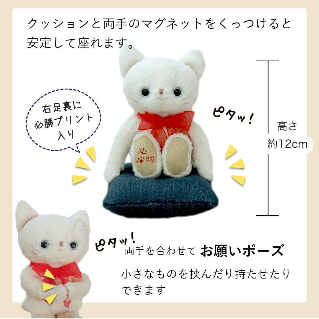 合格祈願＆必勝祈願】かわいいネコのぬいぐるみお守り｜名入れOK＆神社