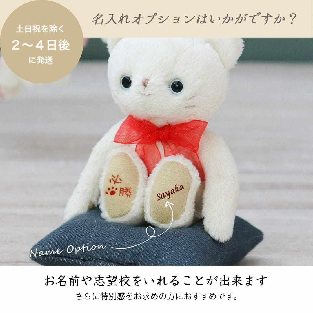 合格祈願＆必勝祈願】かわいいネコのぬいぐるみお守り｜名入れOK＆神社