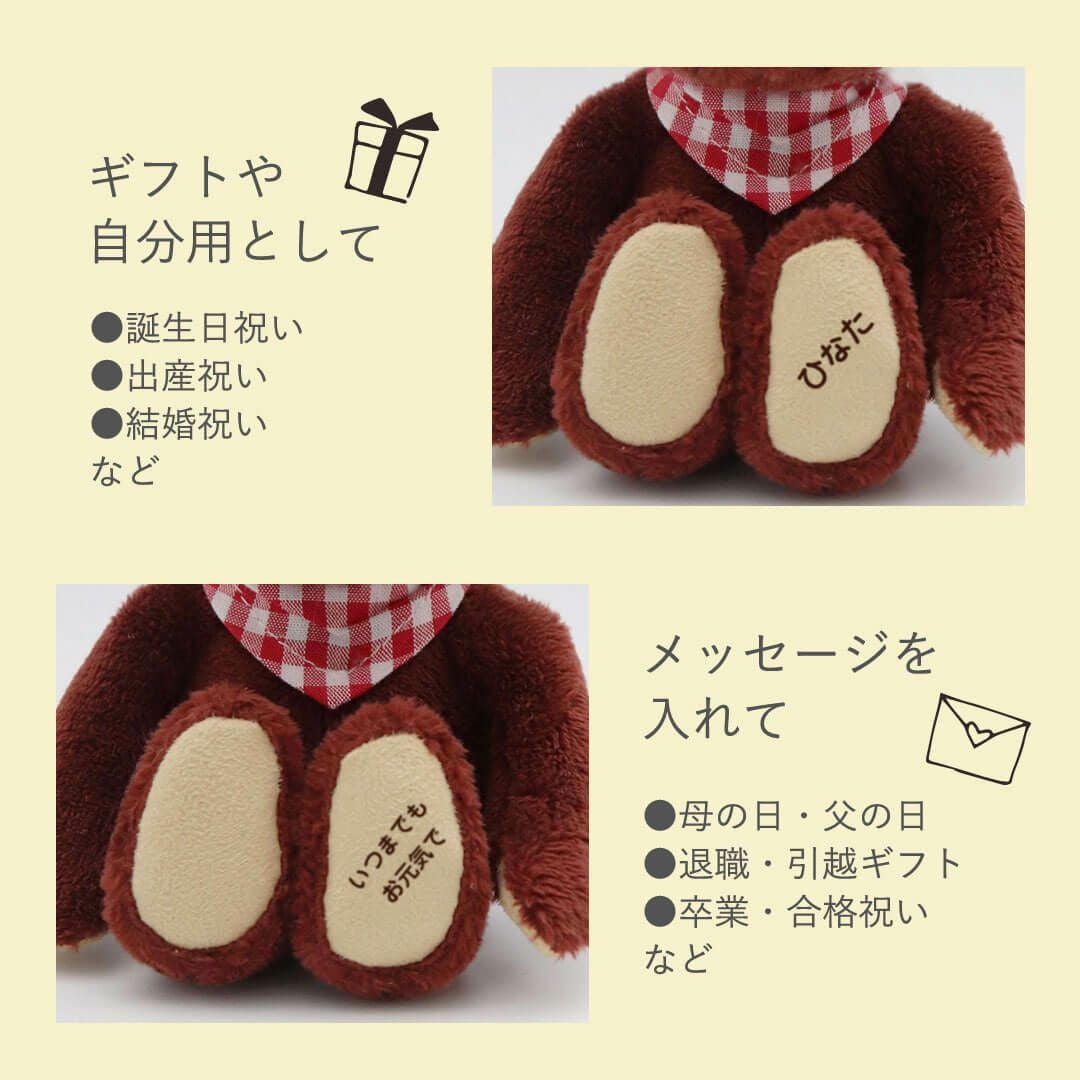 名入れできるカラフルテディベア｜お揃いも楽しめる推し活ぬいぐるみ