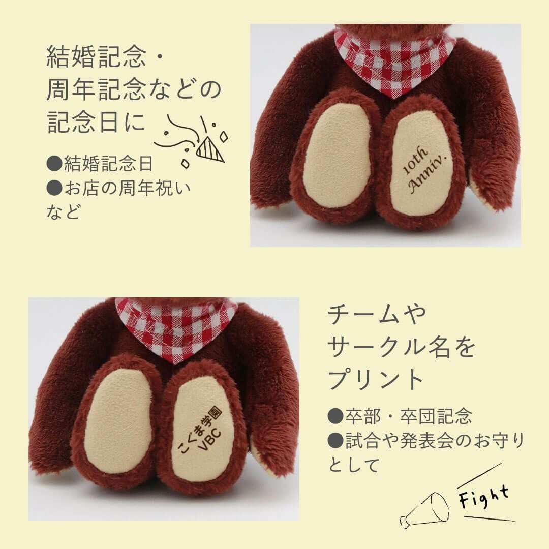 名入れできるカラフルテディベア｜お揃いも楽しめる推し活ぬいぐるみ