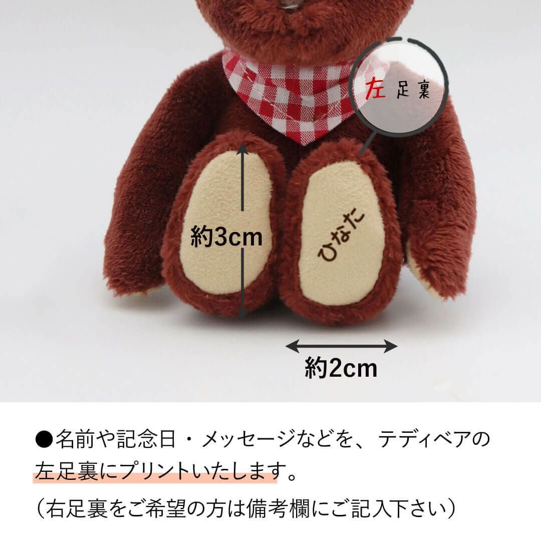 名入れできるカラフルテディベア｜お揃いも楽しめる推し活ぬいぐるみ