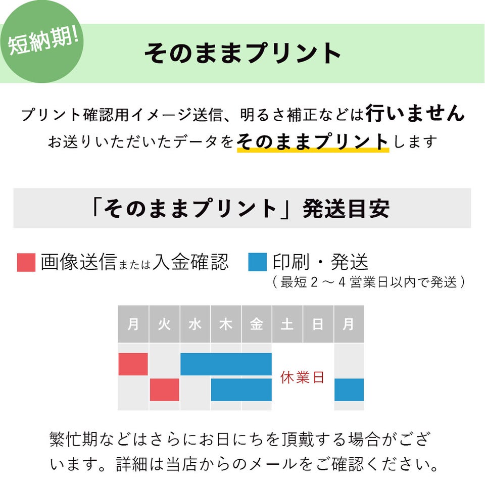 ファミリー長寿ベア