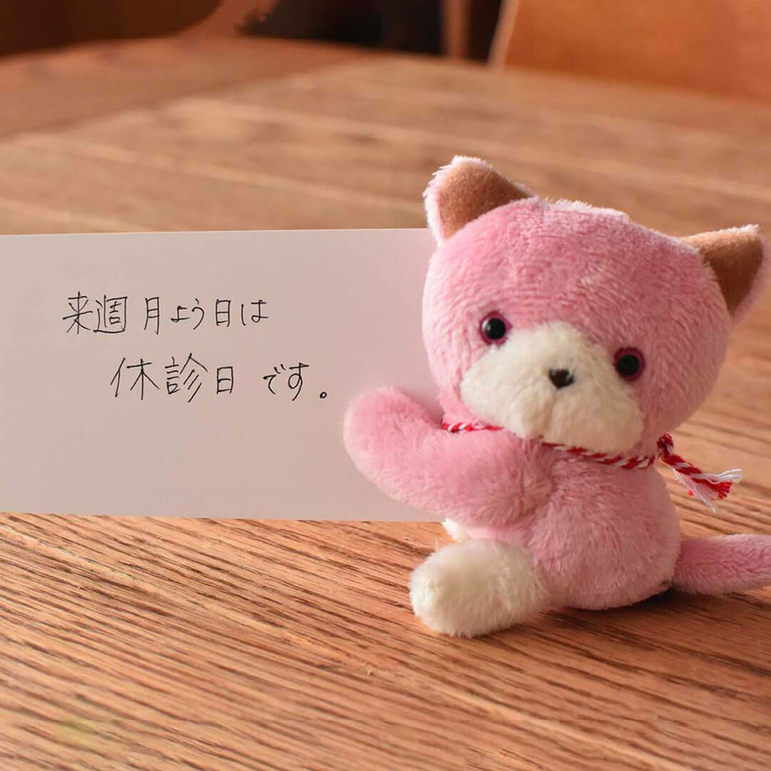 かわいい猫のメモスタンド｜プチギフトやお礼ギフトにぴったり