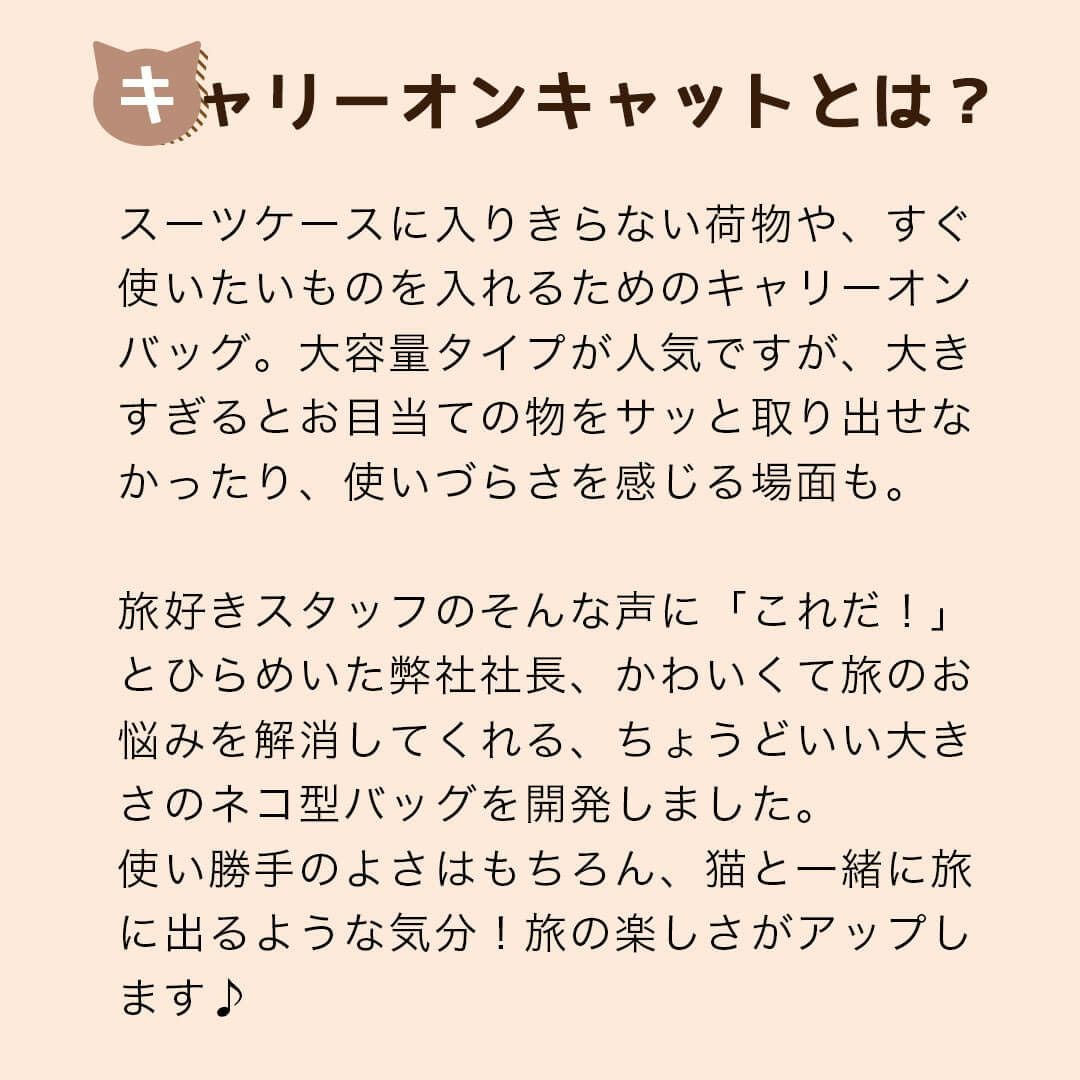 キャリーオンキャット