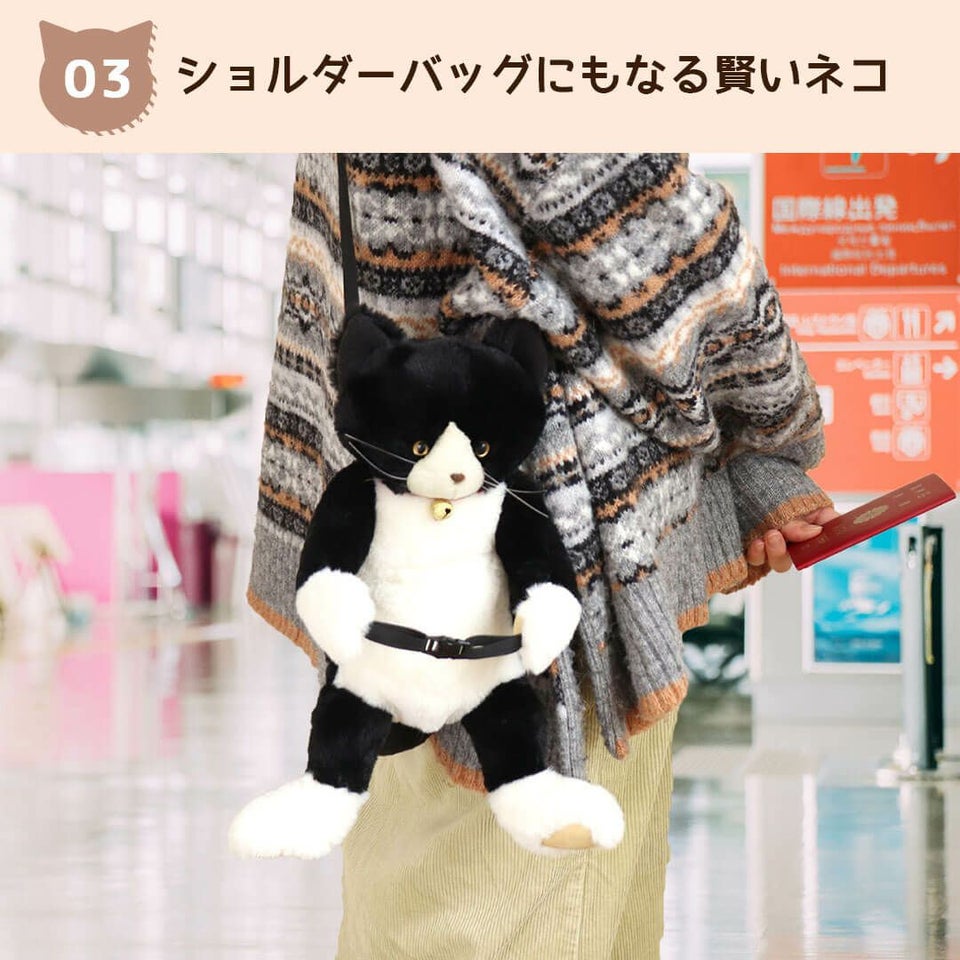 キャリーオンキャット