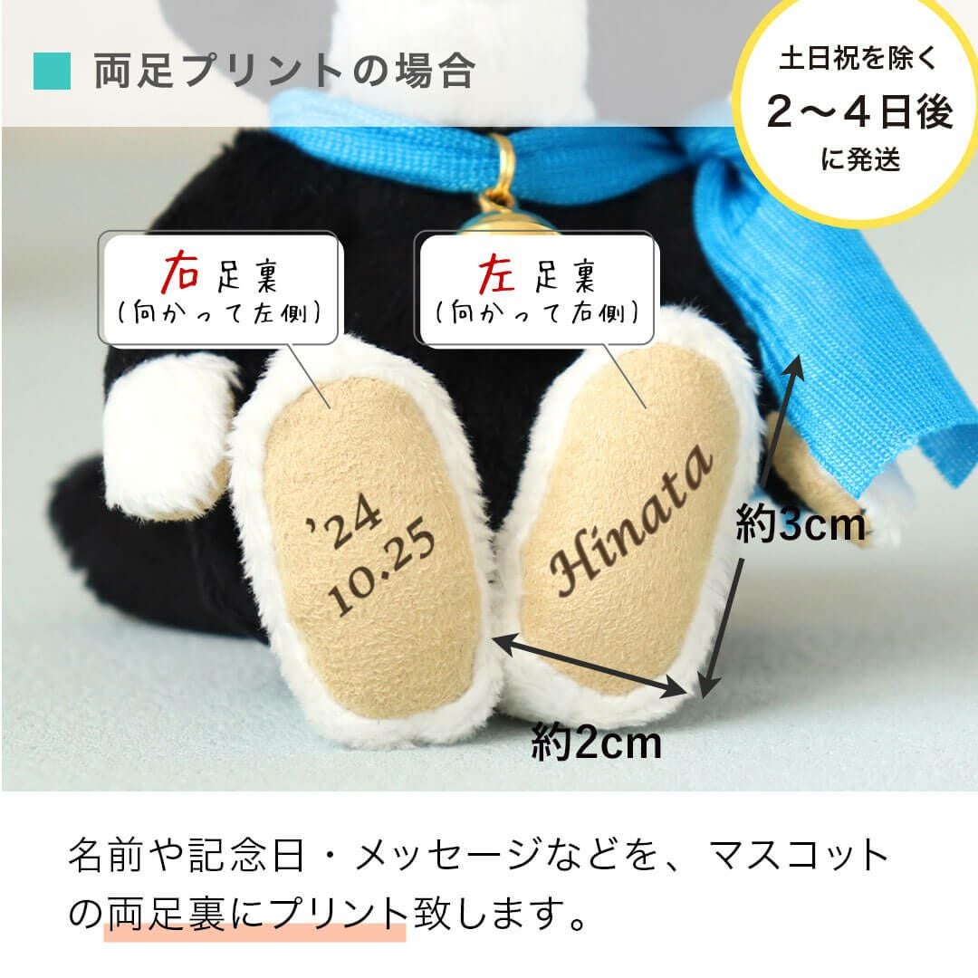 ハチワレネコのマスコットで毎日をもっと楽しく