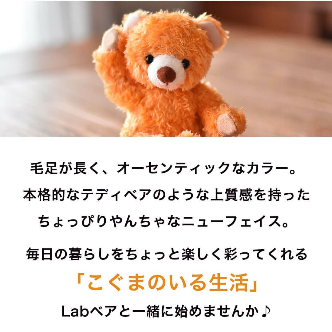 誕生日プレゼントやプチギフトに かわいいテディベアマスコット Labベア