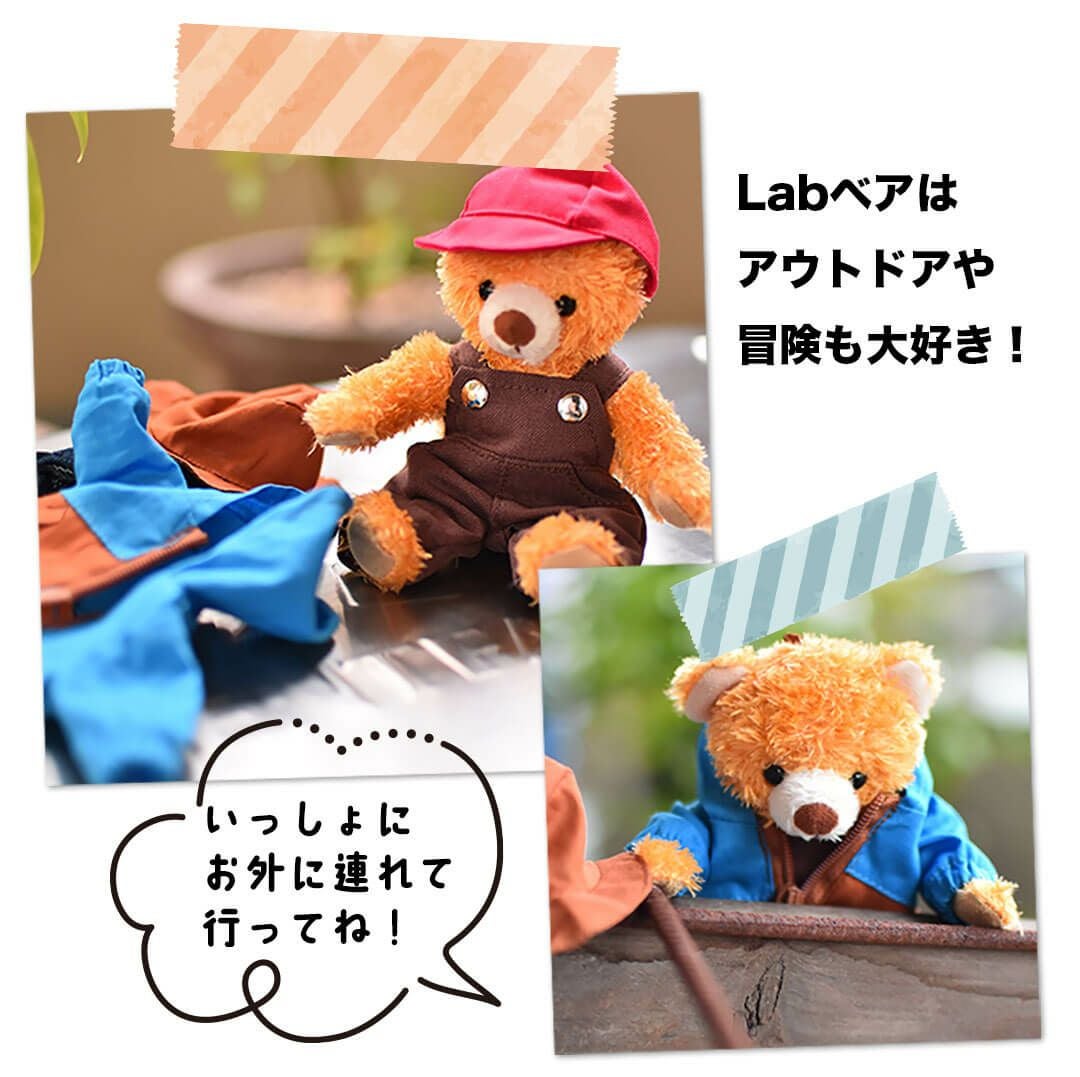 誕生日プレゼントやプチギフトに かわいいテディベアマスコット Labベア