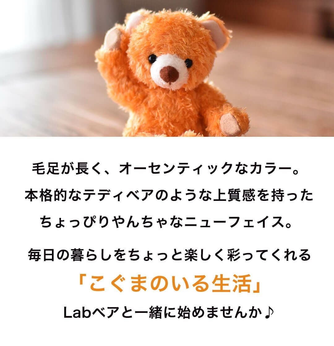 名入れ無料のテディベアキーホルダー｜誕生日や記念日に特別なギフト