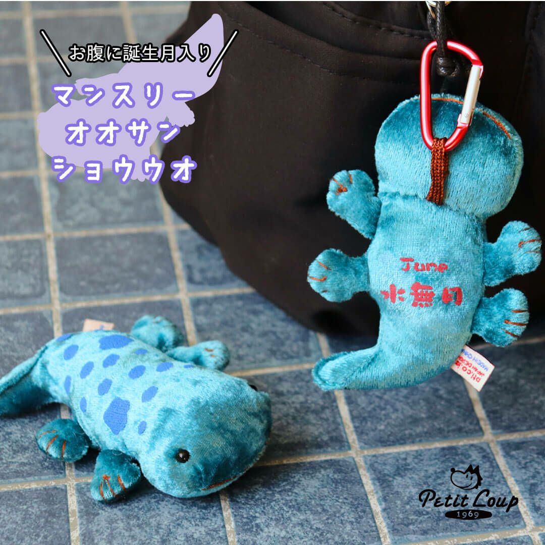 誕生月入りオオサンショウウオ｜キモかわおもしろ雑貨＆プチギフト