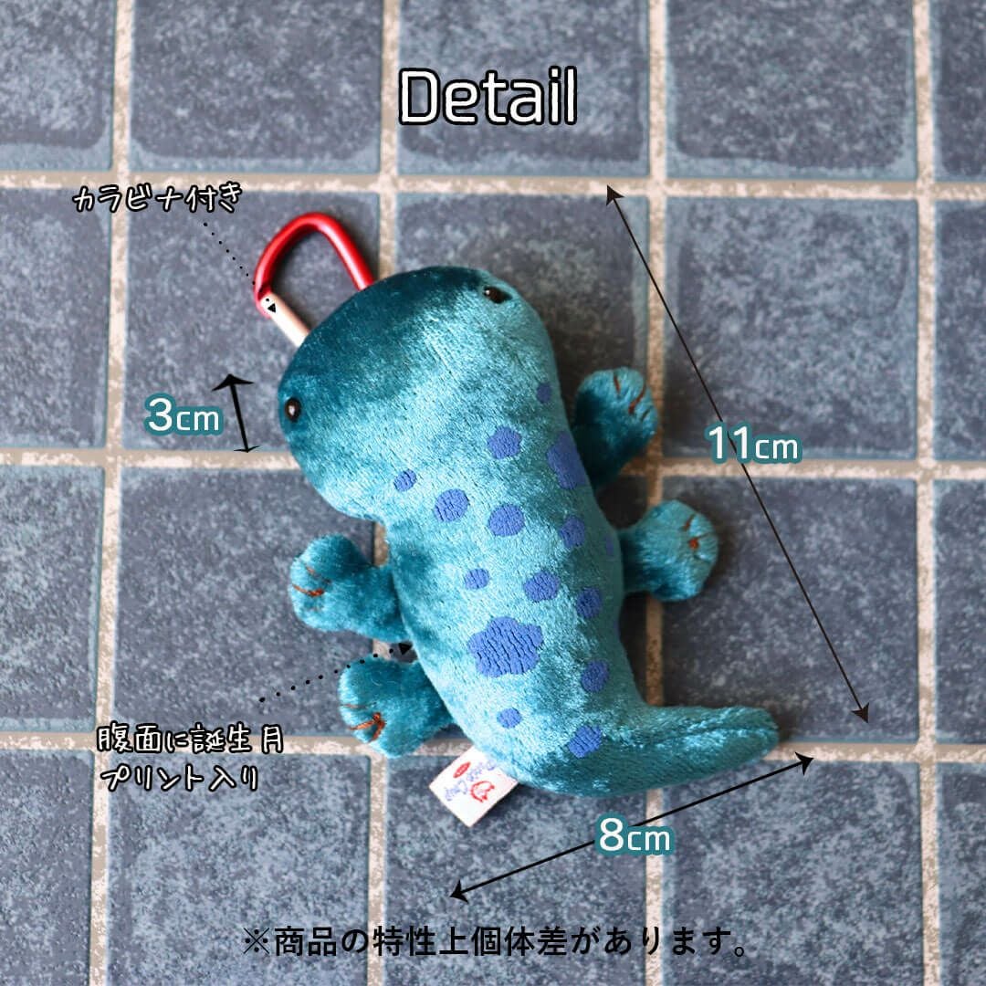 誕生月入りオオサンショウウオ｜キモかわおもしろ雑貨＆プチギフト