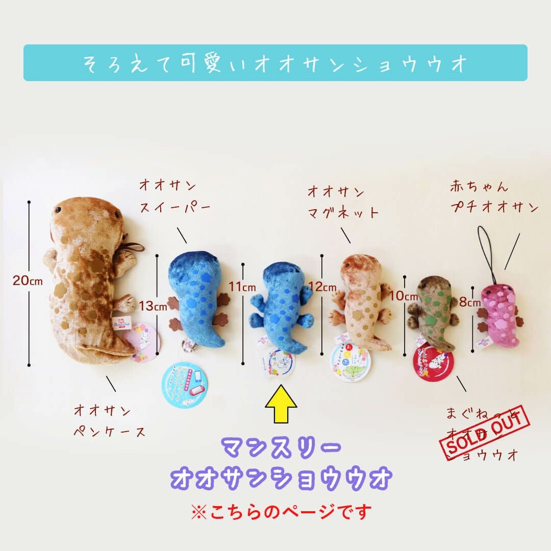誕生月入りオオサンショウウオ｜キモかわおもしろ雑貨＆プチギフト