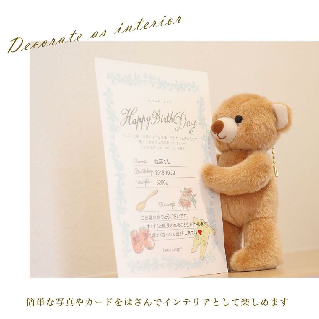 自立するテディベア ｜ぬい撮りや誕生日プレゼントにぴったり