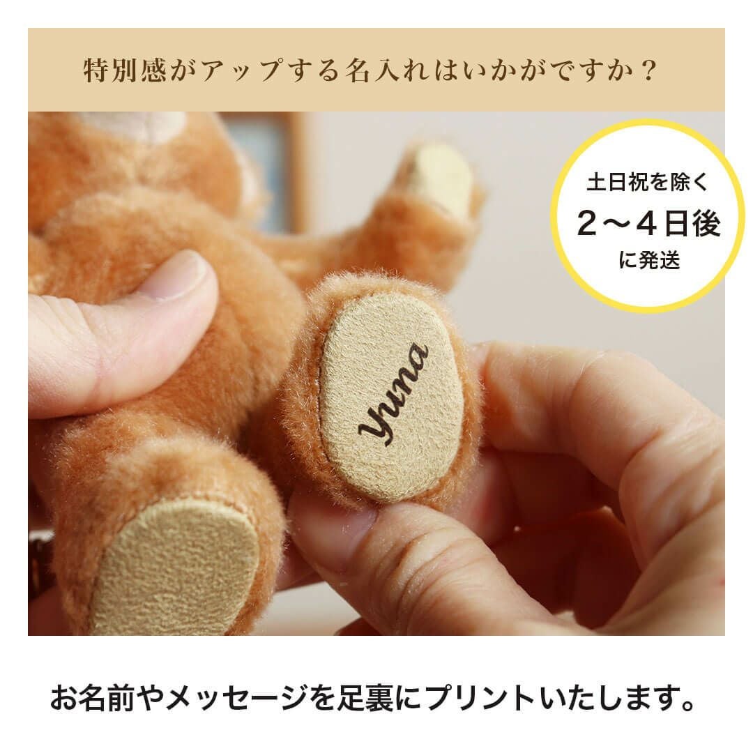 自立するテディベア ｜ぬい撮りや誕生日プレゼントにぴったり