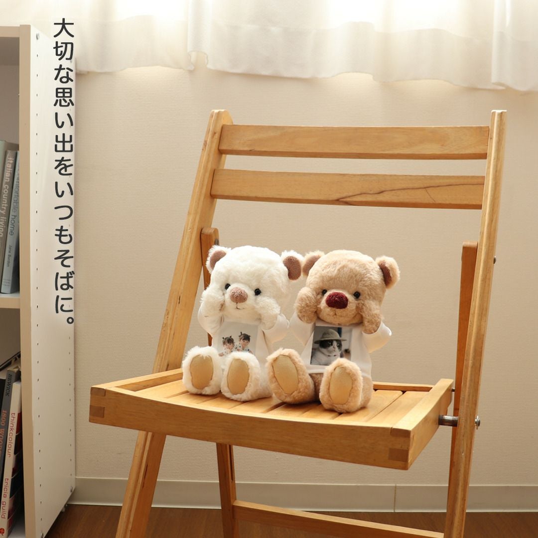 Teddy Bear　テディベア写真集フォトブック　　セット 写真入りテディベア｜卒業記念や誕生日プレゼントにぴったり
