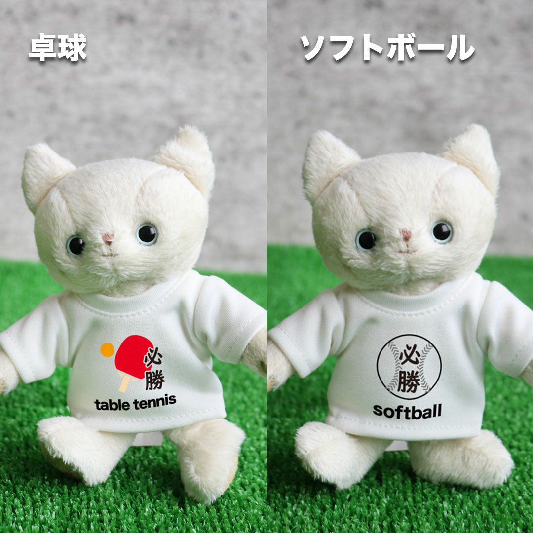 ホワイトテディベア Tシャツ付き クラブTシャツ必勝祈願ネコ(4S) | テディベアギフトのプティルウネット