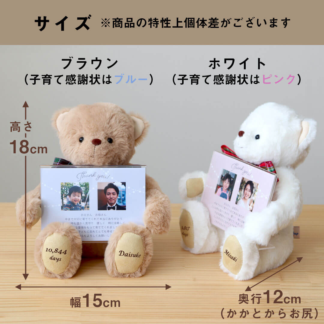 子育て感謝状ベア2体セット(3S) | テディベアギフトのプティルウネット